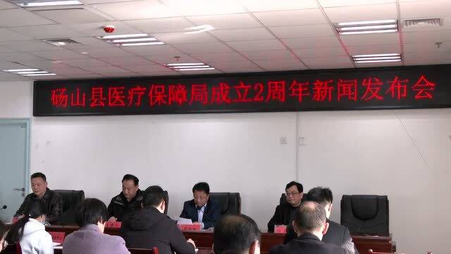 囊谦县医疗保障局，最新动态及成果展示概览