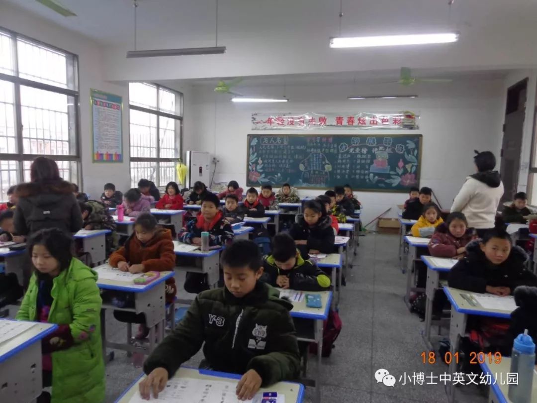 阿图什市小学最新招聘启事全览