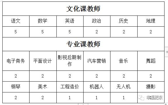 肥城市文化广电体育和旅游局招聘公告详解