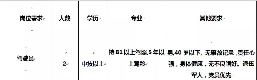 嘎娄最新招聘信息深度解析与探讨