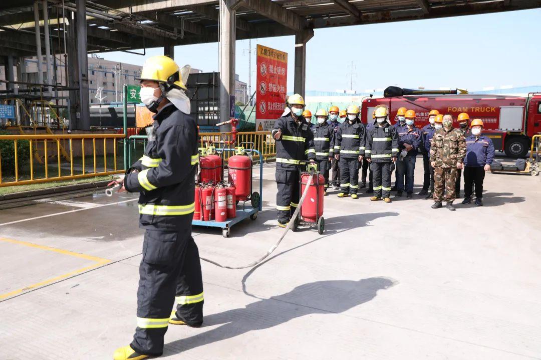 桐乡市住建局最新项目进展报告概览