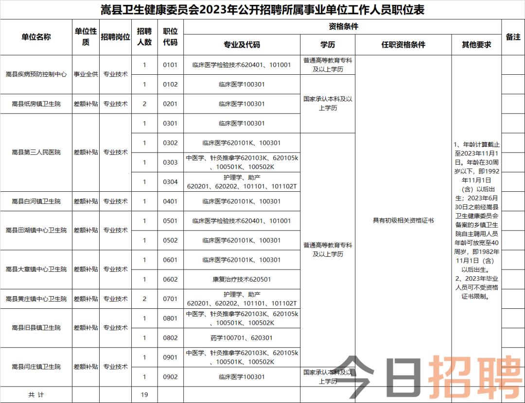 略阳县卫生健康局最新招聘启事概览