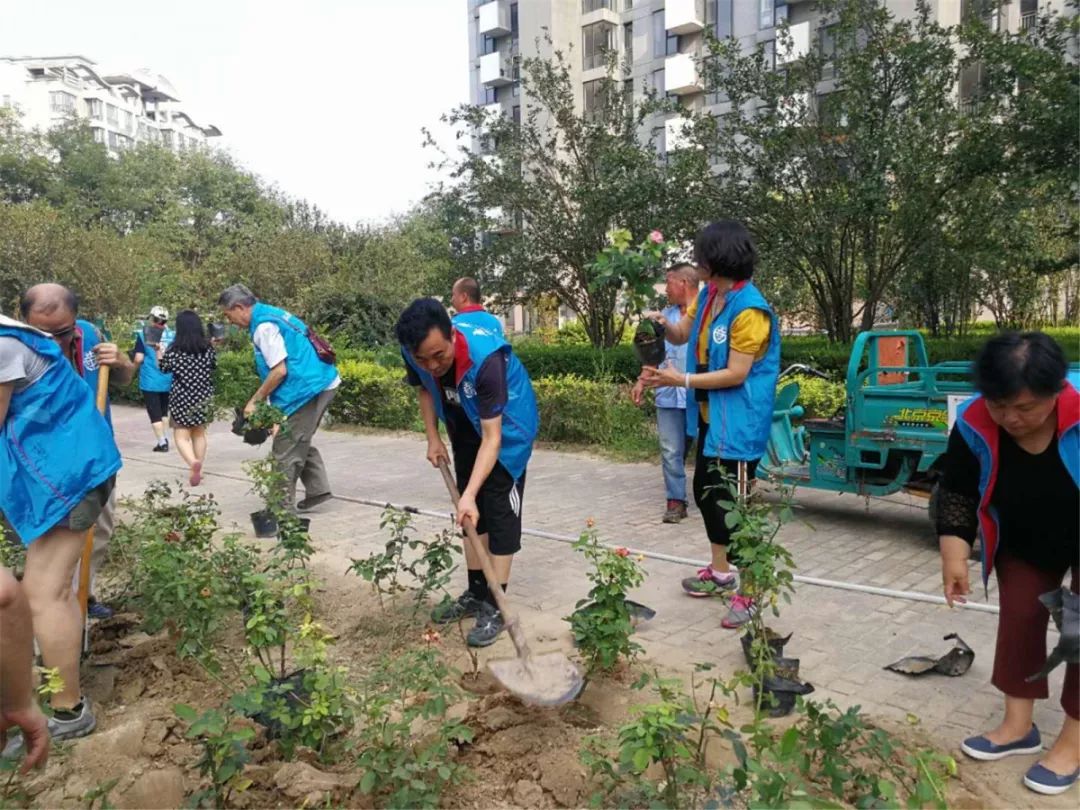 荣华社区重塑未来，打造宜居新典范项目启动