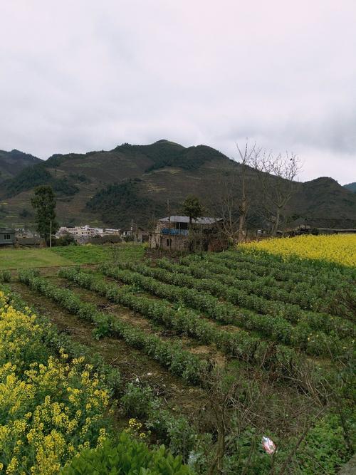 白古村委会天气预报更新通知