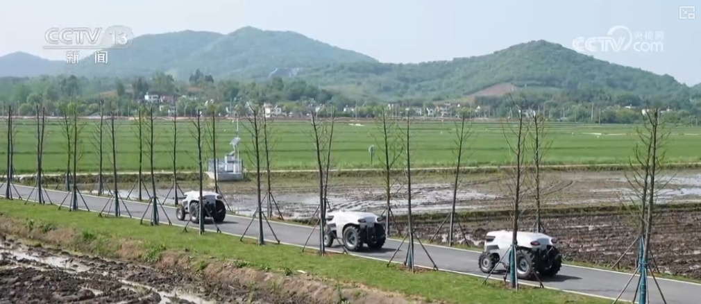 名山农场交通新动态，发展助力农场繁荣