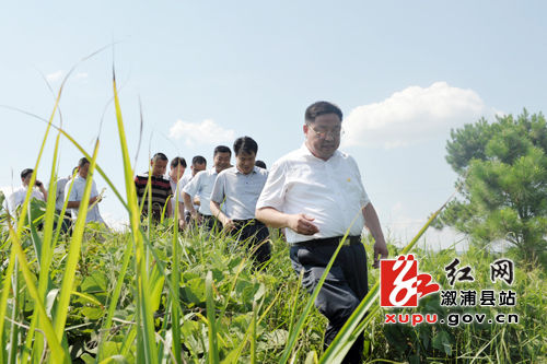 仲夏乡最新新闻报道概览