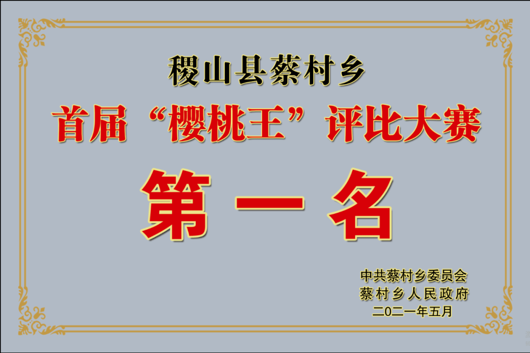 三井村人事任命重塑乡村发展新格局