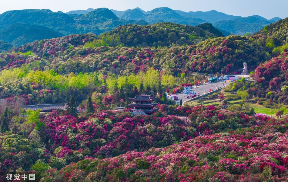 毕节市百里杜鹃景区最新攻略