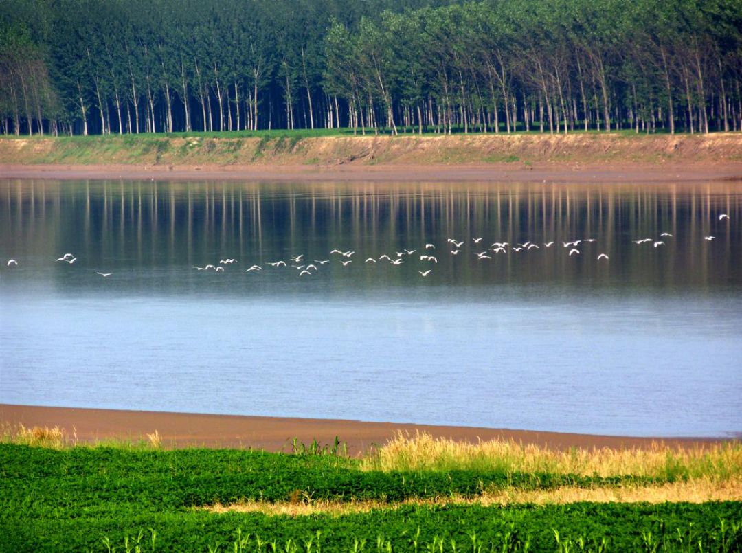 银湖湾湿地公园最新交通新闻