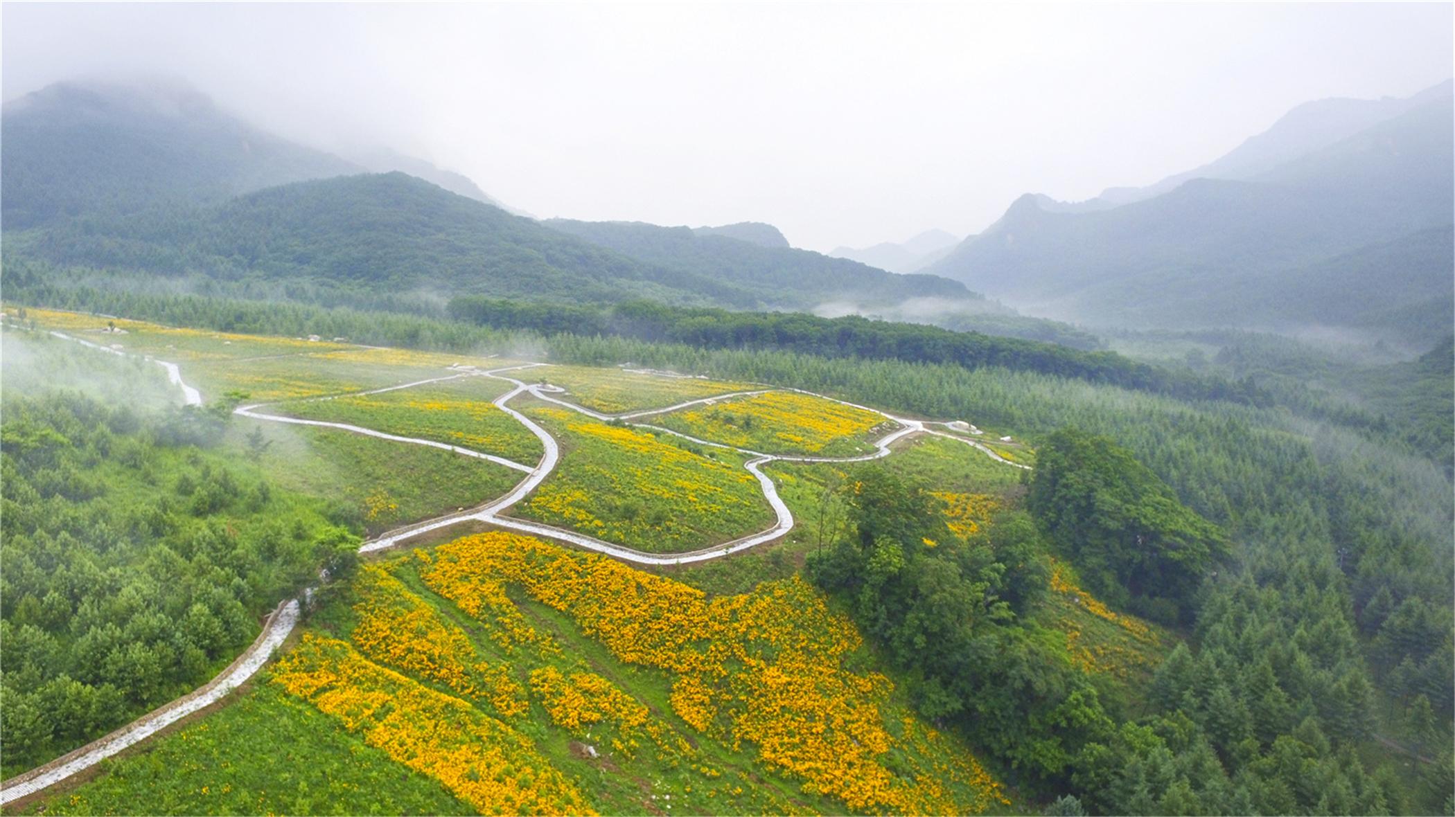 大市乡新任领导团队，引领发展的核心力量