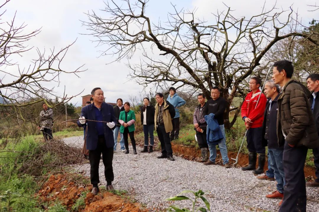 恭城瑶族自治县农业农村局新项目推动农业现代化，乡村振兴再添动力