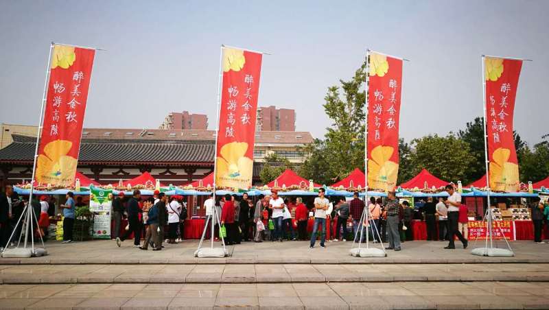 代县文化广电体育和旅游局新项目启动，助力地方文化繁荣与旅游发展进程