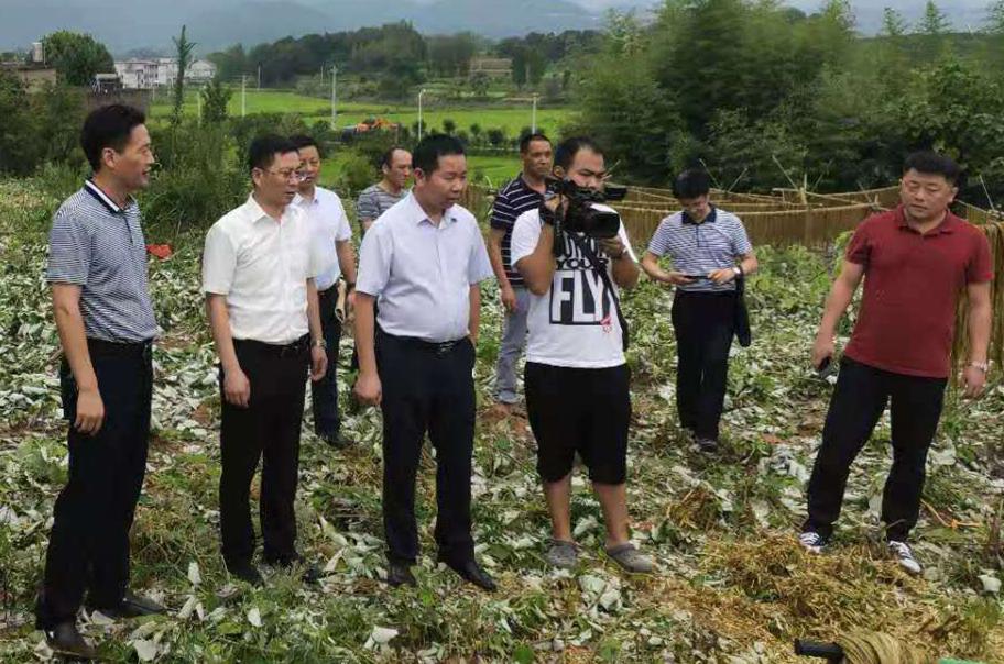 黄石市市规划管理局最新项目概览