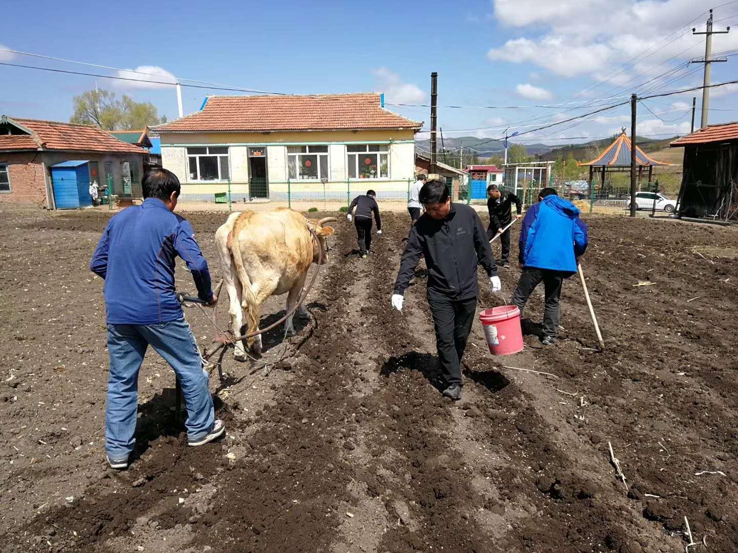 延边朝鲜族自治州市粮食局新项目推动粮食产业高质量发展