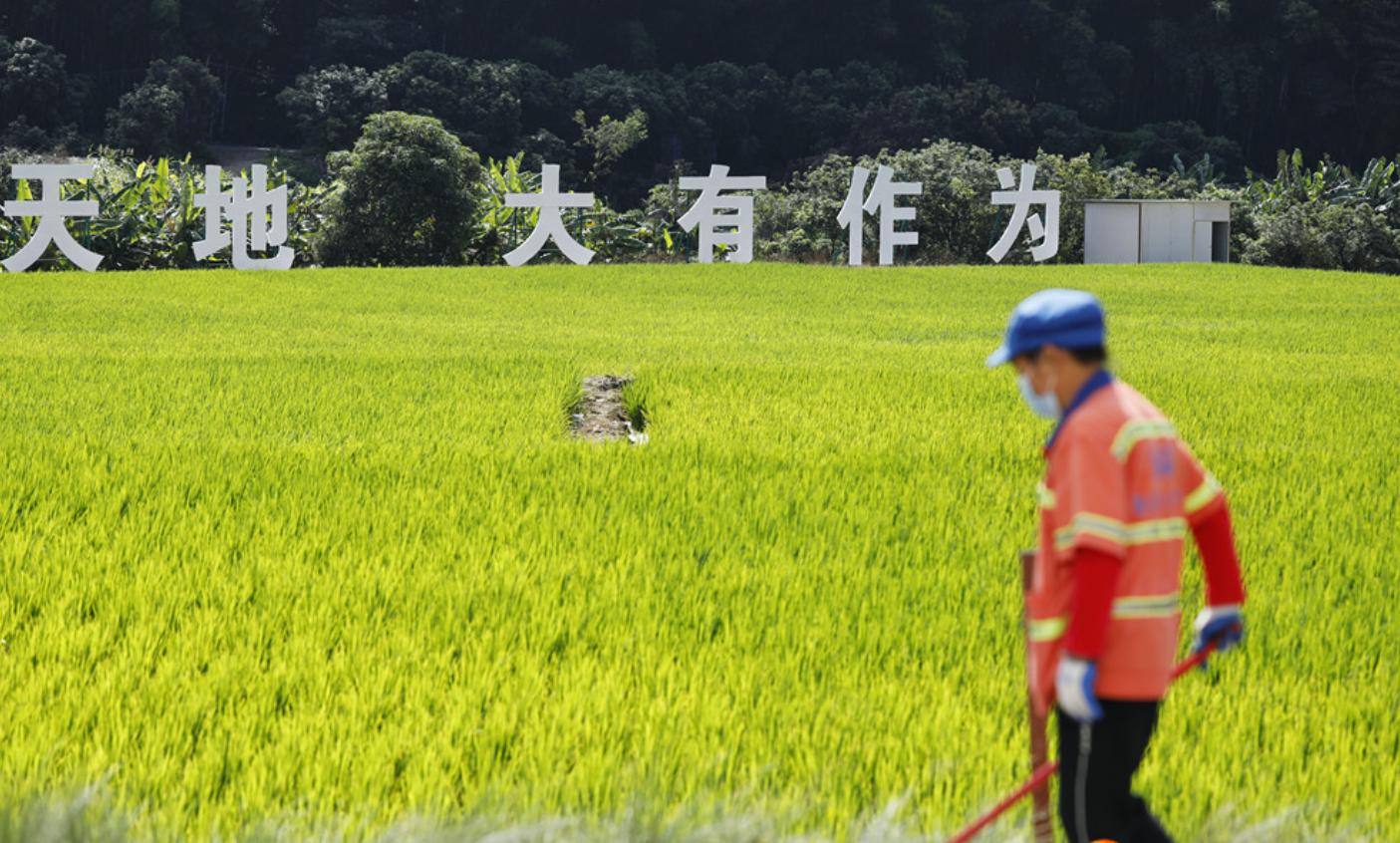 太和县科技局等最新招聘信息汇总