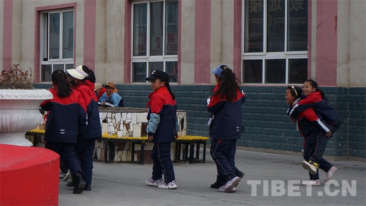 洛隆县图书馆迈向智能化与人性化服务新时代，最新动态报道