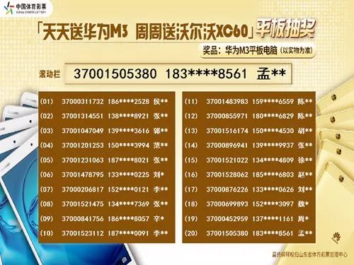 2024新澳门天天彩期期精准,确保成语解释落实的问题_win305.210