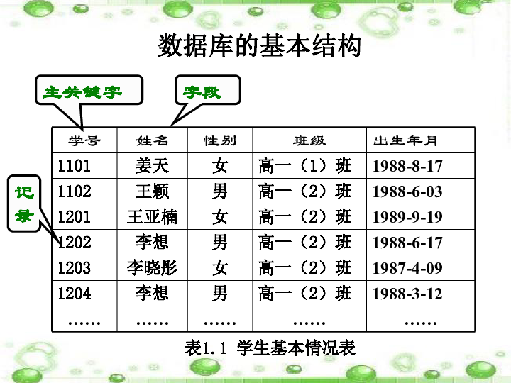 梨花属于什么生肖,数据说明解析_旗舰版91.280