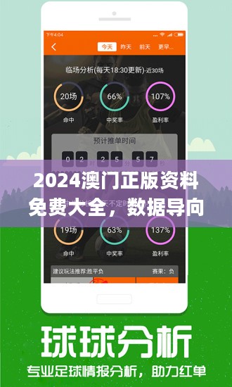 澳门最精准正最精准龙门,定性解读说明_P版88.884