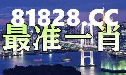 一肖一码一一肖一子深圳,连贯评估方法_豪华版31.560