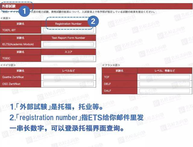 新奥门正版免费资料大全旅游团,系统研究解释定义_Hybrid11.512