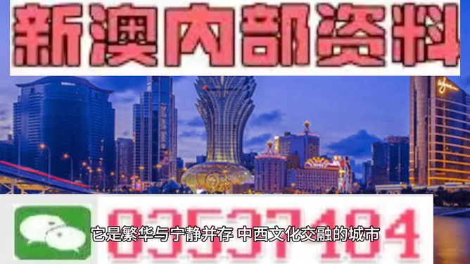 2024新澳精准资料免费提供,澳门内部,专业解答实行问题_策略版95.318