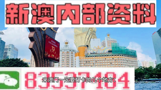 2024新澳免费资料内部玄机,经典解答解释定义_VE版82.989