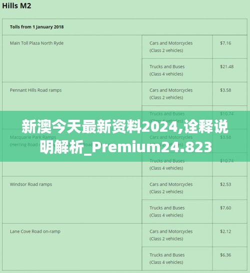 2024新澳精准正版资料,持续计划解析_薄荷版11.492