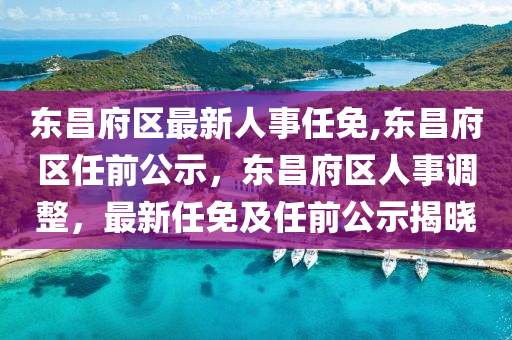 东昌区人民政府办公室人事任命动态更新