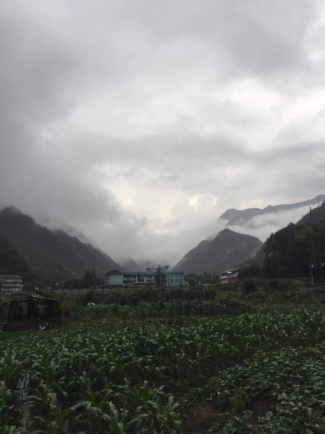 灌水镇天气预报更新通知