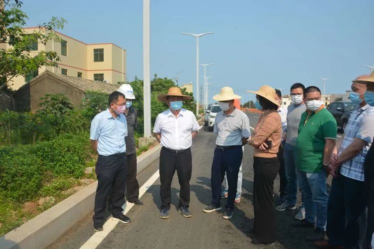 辛付村委会新项目启动，重塑乡村，迈向繁荣之路