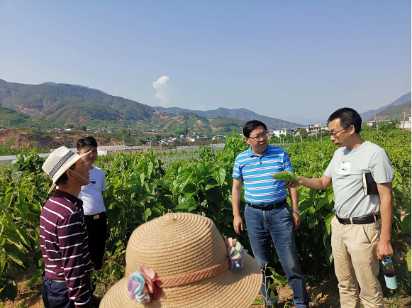 荔蒲县农业农村局新项目引领农业现代化，乡村振兴再添新动力