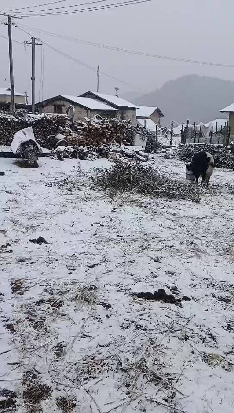 莎尔雪村天气预报更新