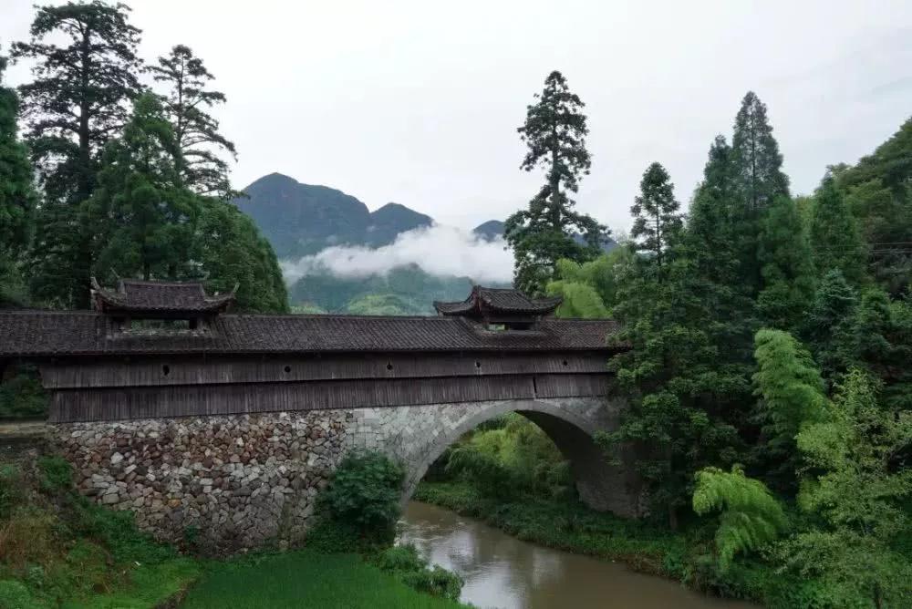 庆元县图书馆新领导引领未来发展新篇章