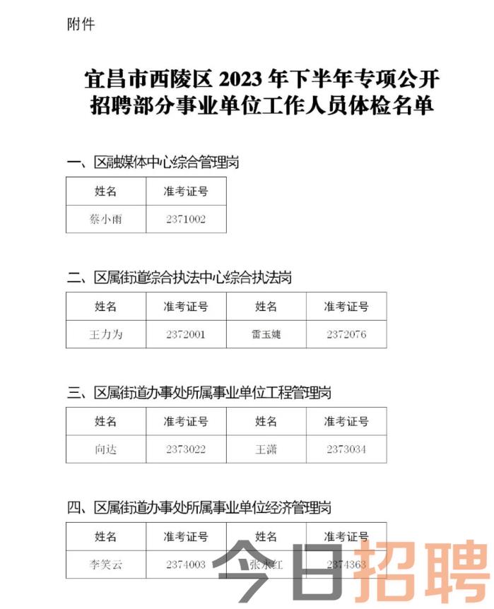 雁塔区人民政府办公室最新招聘公告解读