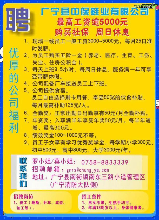 大良镇最新招聘信息及其地区就业生态影响分析