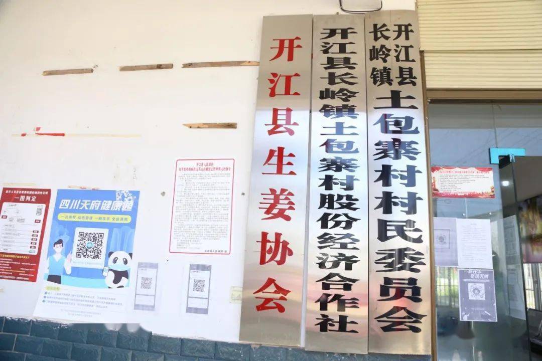 台安县发展和改革局人事任命，构建新时代发展格局的新篇章