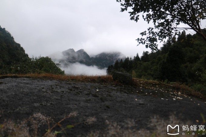 移山林场天气预报更新通知