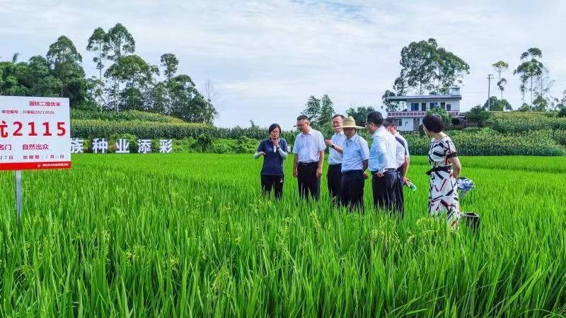 沿滩区农业农村局新项目推动农业现代化助力乡村振兴