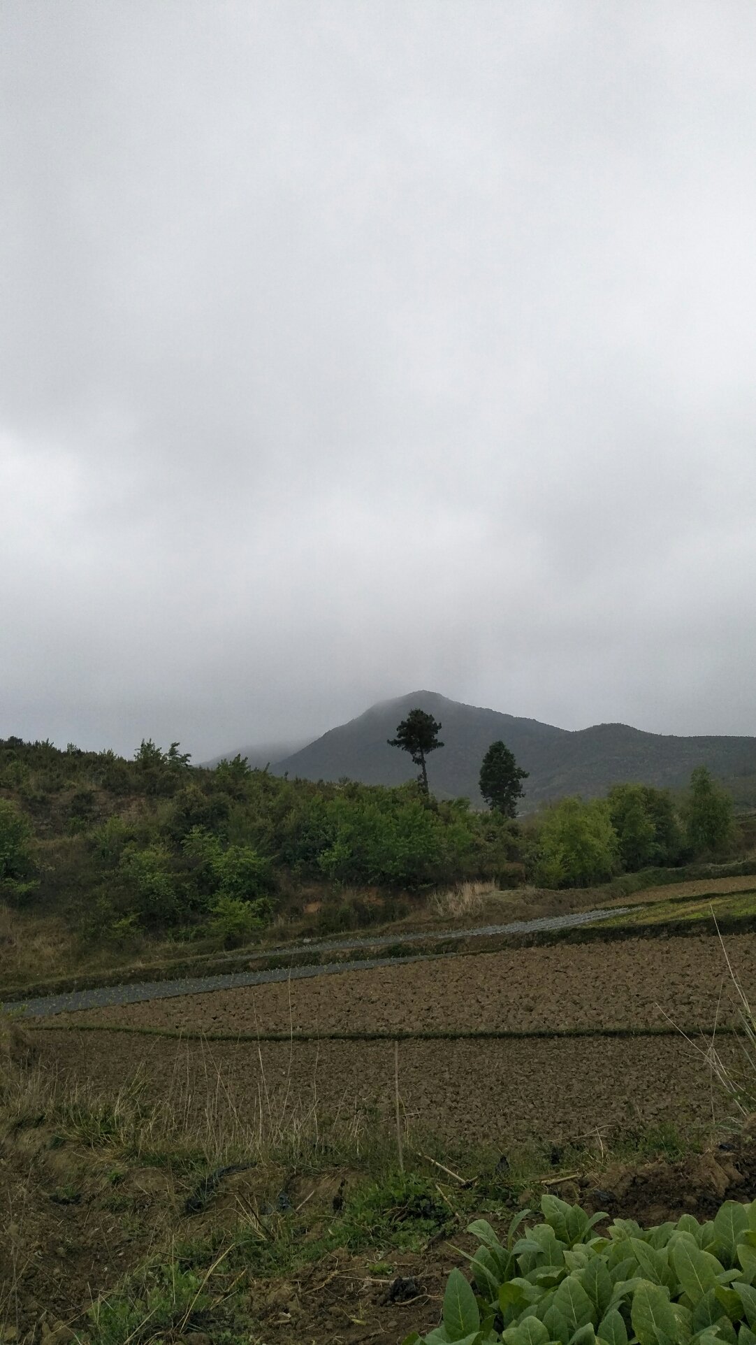 马边村天气预报更新通知