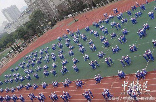 沙河口区住建局最新项目概览